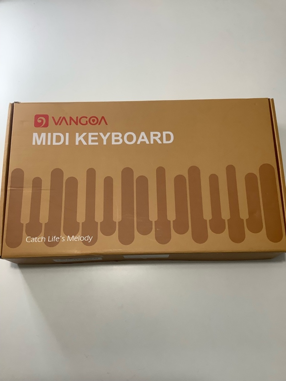 Vangoa 25-Key MIDI Controller Keyboard in Black and White - Picture 4 of 5
